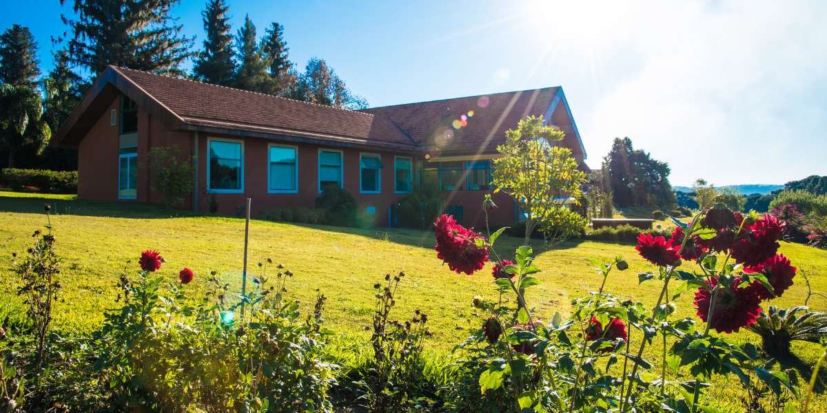 ESTRUTURA LAPINHA (2)