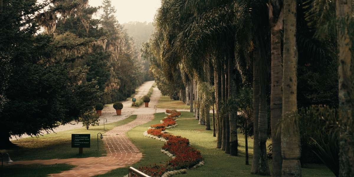 ESTRUTURA LAPINHA (5)